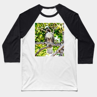 Red Tailed Hawk Baseball T-Shirt